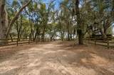 71 Tropicana Road - Photo 15