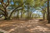 71 Tropicana Road - Photo 19