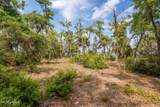 230 Old Plantation Drive - Photo 9