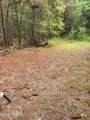Tbd Toomerville Loop - Photo 4