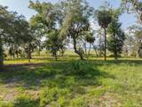 7 Turnstone Drive - Photo 23