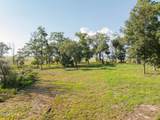 7 Turnstone Drive - Photo 31