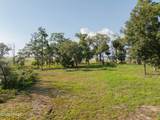 7 Turnstone Drive - Photo 32