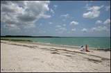 901 7th Street - Photo 18