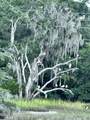 11 Rising Tide Drive - Photo 17