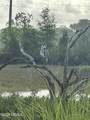 11 Rising Tide Drive - Photo 33