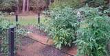 1 Spoonbill Drive - Photo 39