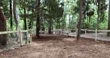 402 Island Circle - Photo 60