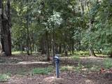 111 Palmetto Place - Photo 20