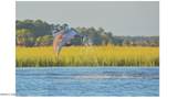207 Fripp Point Road - Photo 11