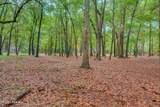 207 Fripp Point Road - Photo 19