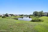 79 Spring Beauty Drive - Photo 45