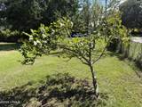 14009 Kader Street - Photo 7
