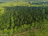 0 Tree Farm Road - Photo 10