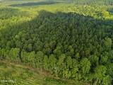 0 Tree Farm Road - Photo 11