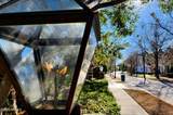 93 Shell Hall Way - Photo 42