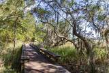 345 Distant Island Drive - Photo 19