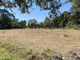 205 Sam Doyle Drive - Photo 2