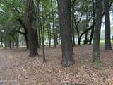 20 Mccalley Creek Lane - Photo 19