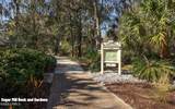 51 Winding Oak Drive - Photo 31