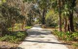 51 Winding Oak Drive - Photo 32