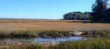 2 Black Skimmer Court - Photo 11