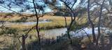 2 Black Skimmer Court - Photo 6