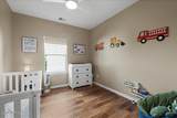 17 Sassafras - Photo 15