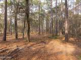 106 Gator Lane - Photo 11