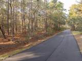 106 Gator Lane - Photo 9