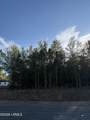 Tbd Stokes Bluff Road - Photo 4
