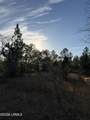 Tbd Stokes Bluff Road - Photo 6
