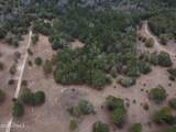 Tbd Stokes Bluff Road - Photo 9