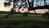 22 Ed And Grant Drive - Photo 10