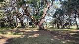 22 Ed And Grant Drive - Photo 11