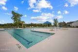 707 Wiregrass Way - Photo 52