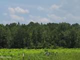 Tbd Toomerville Loop - Photo 1