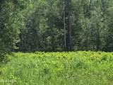 Tbd Toomerville Loop - Photo 2