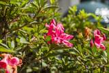 27 Pineland Road - Photo 43