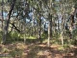 7 Point Trail - Photo 4