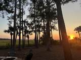 1036 Curisha Point - Photo 43