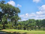 113 Castle Hill Drive - Photo 34