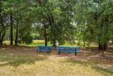45 Osprey Road - Photo 50