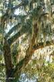 210 Old Plantation Drive - Photo 66