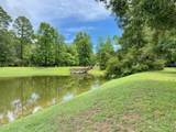 695 Distant Island Drive - Photo 23