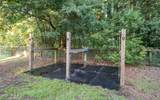 36 Avenue Of Oaks - Photo 60
