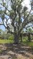 7 Turnstone Drive - Photo 12
