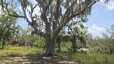 7 Turnstone Drive - Photo 13