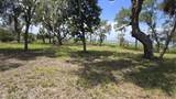 7 Turnstone Drive - Photo 9