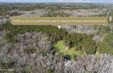 164 Paige Point Bluff - Photo 5